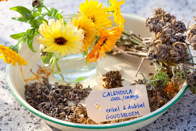 Gedroogde Calendula en Goudsbloem